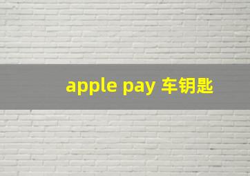 apple pay 车钥匙